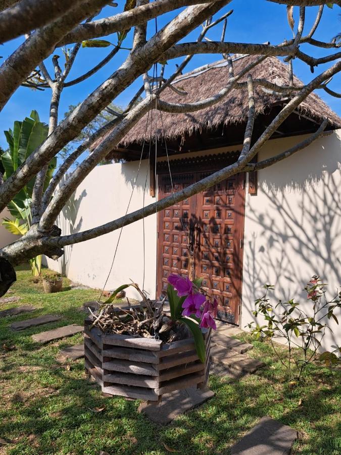 Laura Guest House Samui Hua Thanon  Extérieur photo