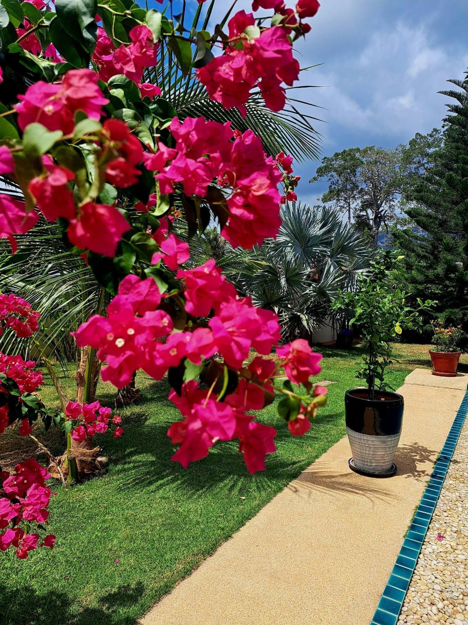 Laura Guest House Samui Hua Thanon  Extérieur photo