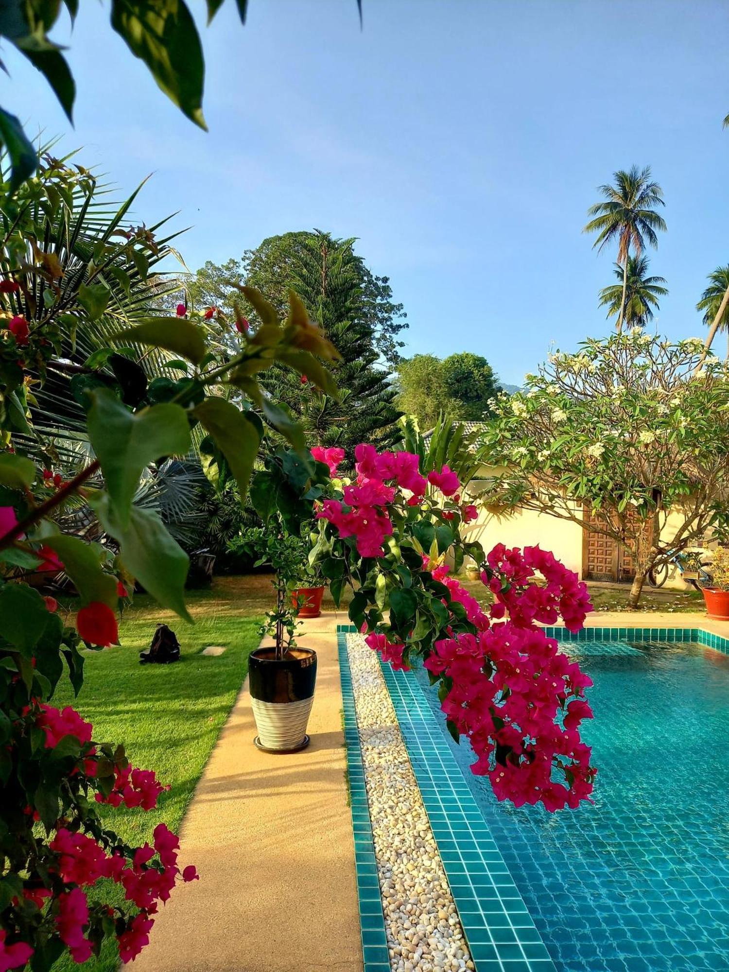 Laura Guest House Samui Hua Thanon  Extérieur photo